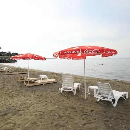 Hotel Diva Turka